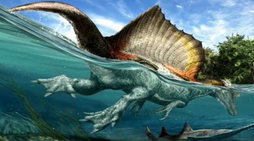 المغرب.. اكتشاف أول ديناصور مائي في العالم