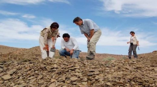 اكتشاف أثر أقدم حيوان مائي في العالم بالمغرب