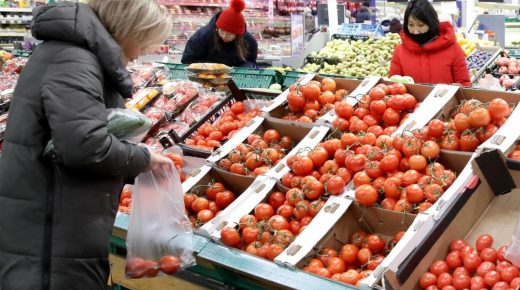 هل يخفض المغرب صادراته من الطماطم لمواجهة ارتفاع الأسعار؟