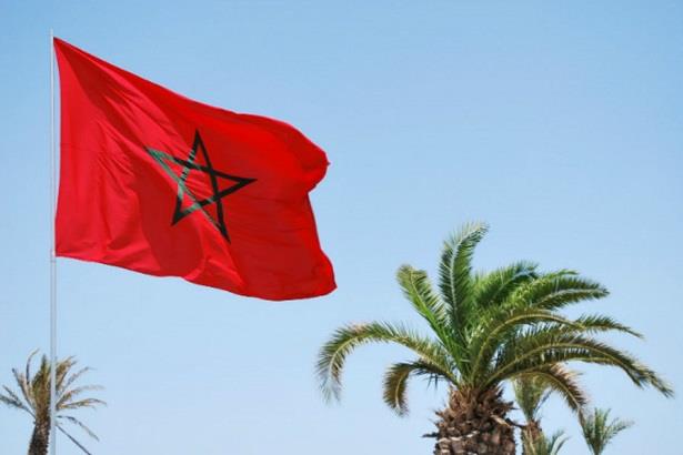 “لا تريبونا”: استراتيجيات المغرب في مواجهة التهديدات الأمنية تثير إعجاب العالم